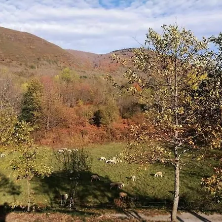 T2 Isatis Proche Ax * Ignaux