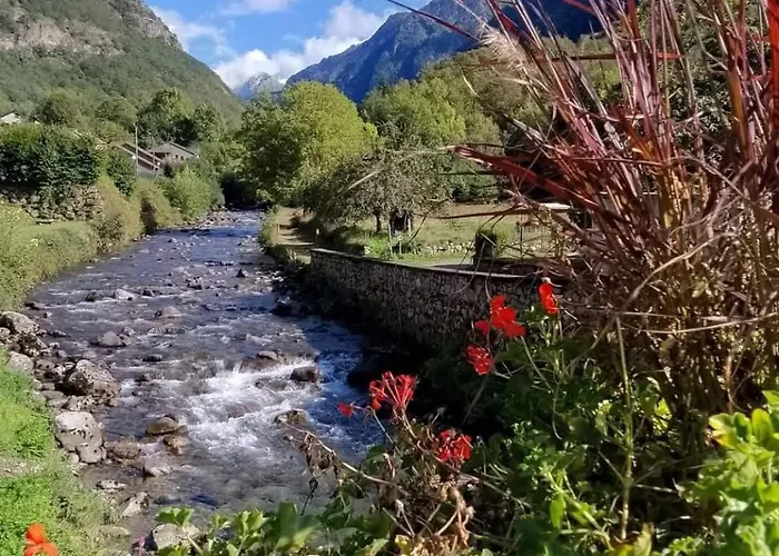 T2 Isatis Proche Ax *