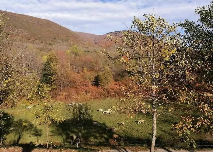 T2 Isatis Proche Ax * Ignaux