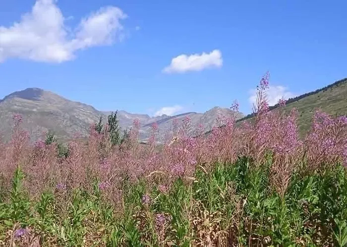 T2 Isatis Proche Ax Apartment *